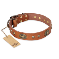 "Stunning Dress" FDT Artisan Tan Leather Collie Collar with Old Bronze Look Plates and Studs