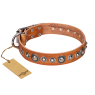 "Daily Chic" FDT Artisan Tan Leather Collie Collar with Decorations