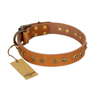"Autumn Story" FDT Artisan Leather Collie Collar with Old Bronze Look Studs