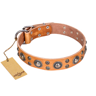 "Extra Sparkle" FDT Artisan Handcrafted Tan Leather Collie Collar