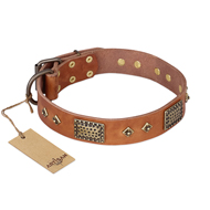 "Catchy Look" FDT Artisan Decorated Tan Leather Collie Collar