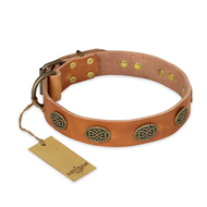 "Magic Amulet" FDT Artisan Tan Leather Collie Collar with Oval Studs