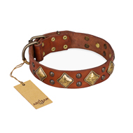 "Flight of Fancy" FDT Artisan Adorned Leather Collie Collar