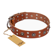 "Silver Elegance" FDT Artisan Decorated Leather Collie Collar with Old Silver-Like Plated Studs and Cones