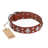 "Magic Squares" FDT Artisan Tan Leather Collie Collar with Silver-like Decor