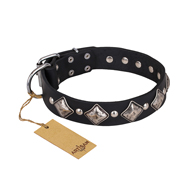 "Silver Charm" FDT Artisan Leather Collie Collar with Silvery-Plated Large Square Studs