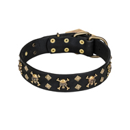 "Jolly Rojer" FDT Artisan Leather Collie Collar with Pirate Skulls and Studs - 1 1/2 inch (40 mm) wide