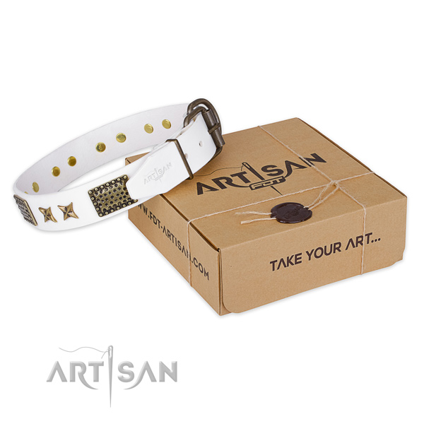 Reliable buckle on natural genuine leather collar for your stylish four-legged friend