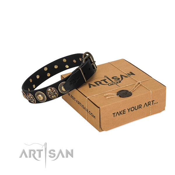 Corrosion resistant hardware on dog collar for everyday walking