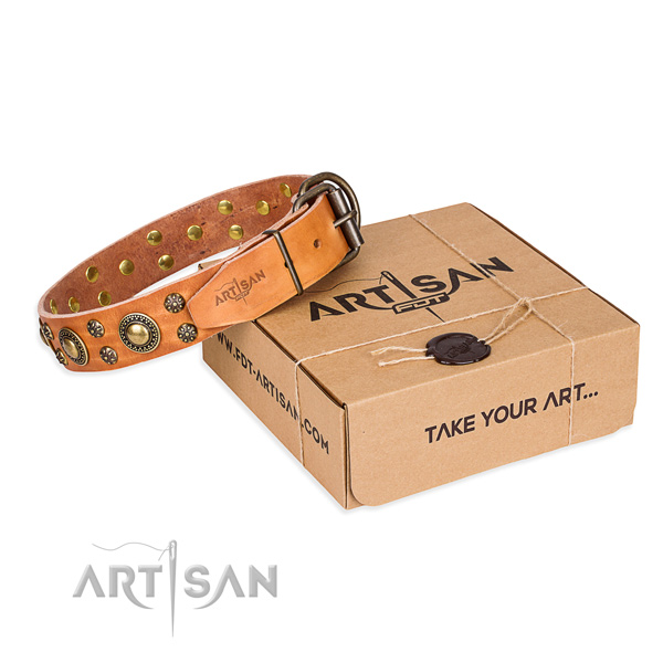 Everyday walking dog collar of best quality natural leather with decorations