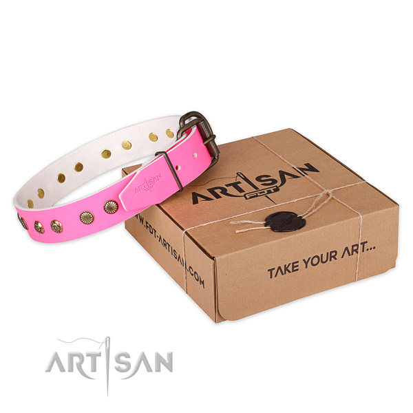Corrosion resistant fittings on leather collar for your handsome doggie