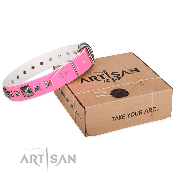 Daily use leather dog collar with studs
