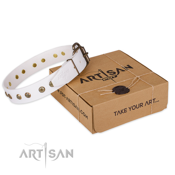 Reliable D-ring on genuine leather collar for your lovely dog