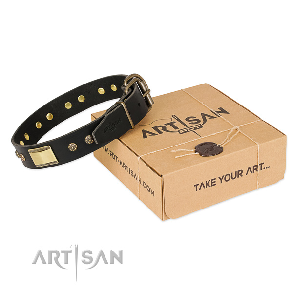 Extraordinary genuine leather collar for your handsome four-legged friend