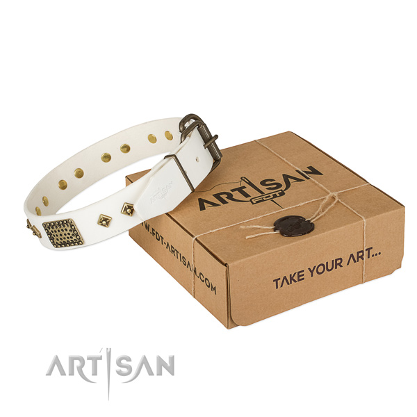 Stylish genuine leather collar for your stylish pet