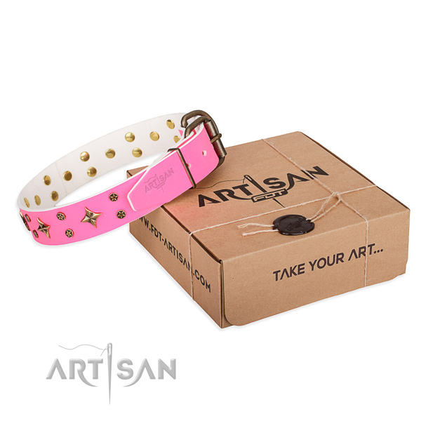 Walking dog collar of durable genuine leather with adornments