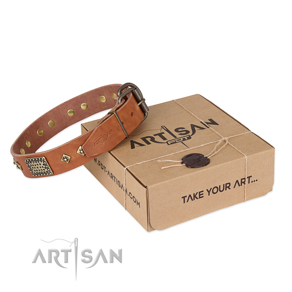 Easy wearing full grain natural leather collar for your stylish four-legged friend