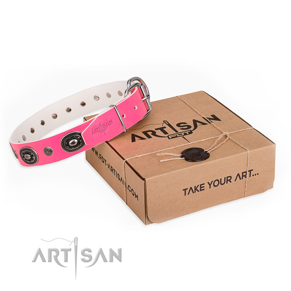 Quality genuine leather dog collar created for stylish walking