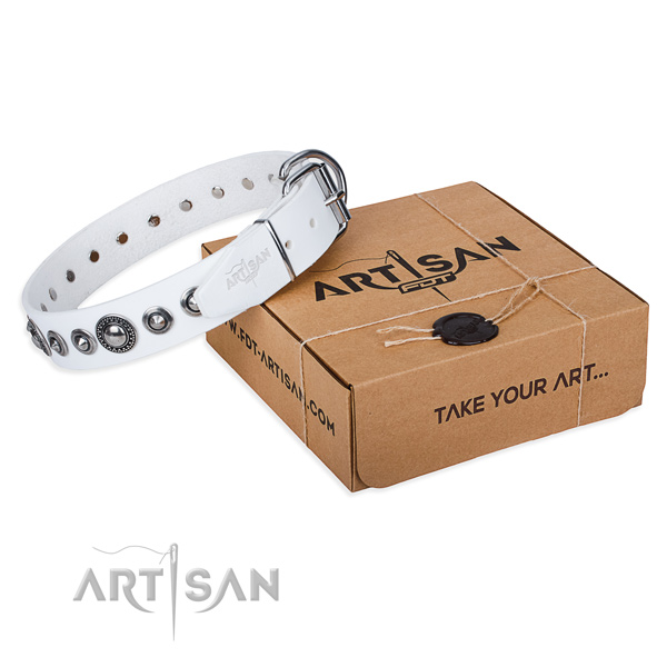 Full grain genuine leather dog collar made of soft to touch material with corrosion proof buckle