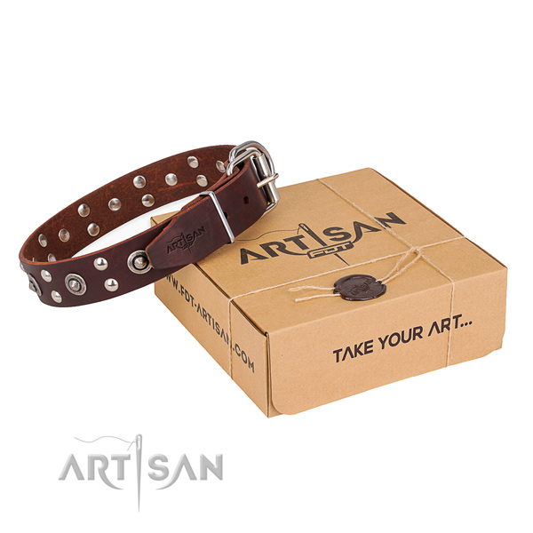 Fancy walking dog collar with Amazing rust resistant decorations