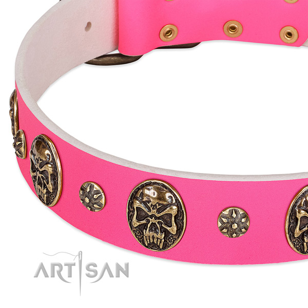 Top quality dog collar crafted for your handsome dog