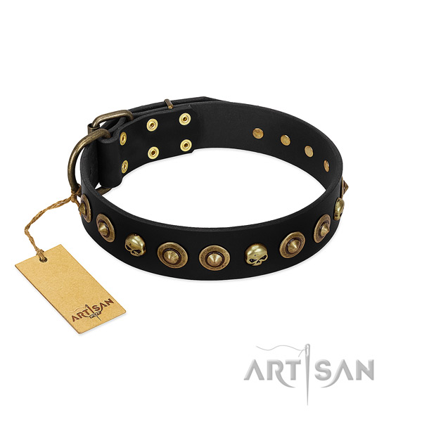 Full grain natural leather collar with awesome embellishments for your dog