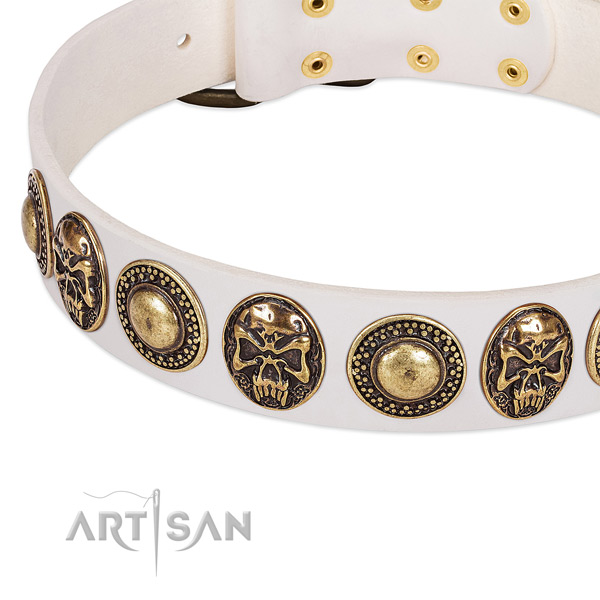 Corrosion proof adornments on genuine leather dog collar for your canine