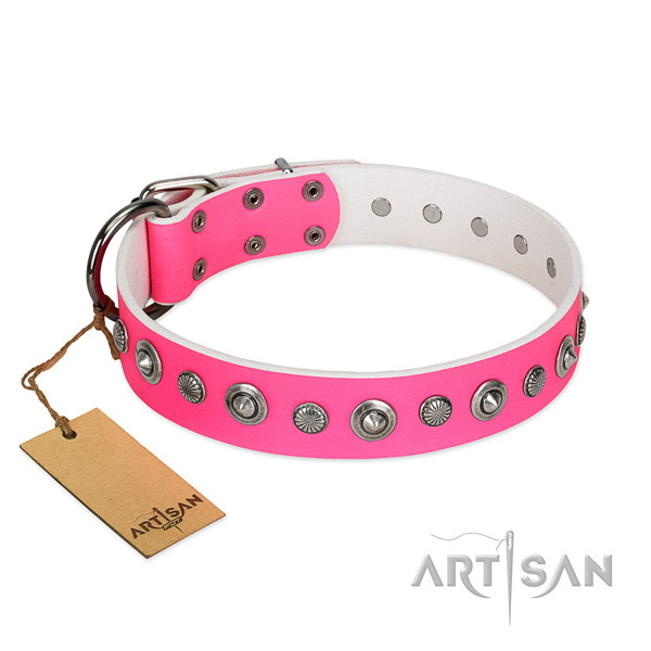 Strong full grain natural leather dog collar with amazing embellishments