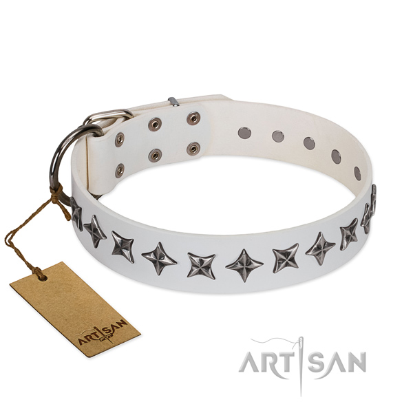 Handy use dog collar of top quality full grain natural leather with embellishments