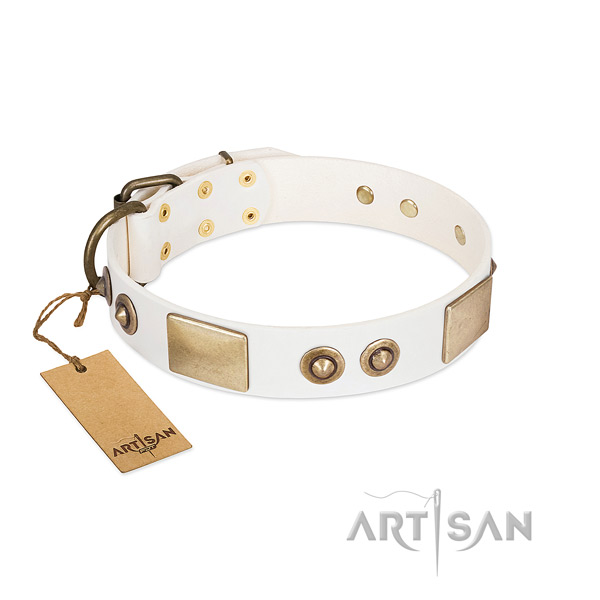 Rust-proof D-ring on full grain leather dog collar for your dog