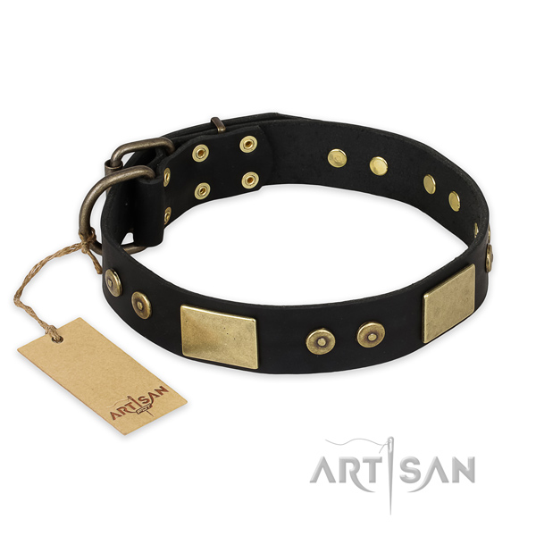 Extraordinary leather dog collar for easy wearing