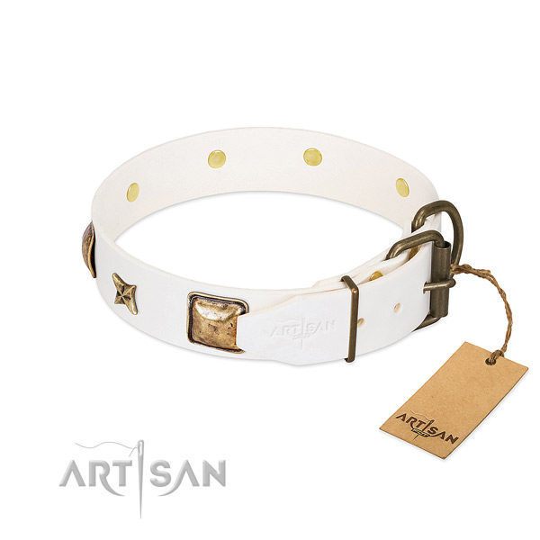 Full grain natural leather dog collar with corrosion proof hardware and decorations