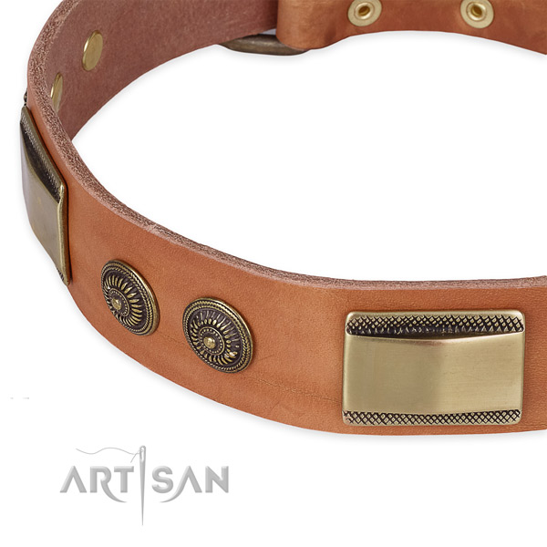 Convenient leather collar for your lovely four-legged friend