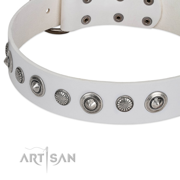 Full grain natural leather collar with corrosion proof buckle for your impressive dog