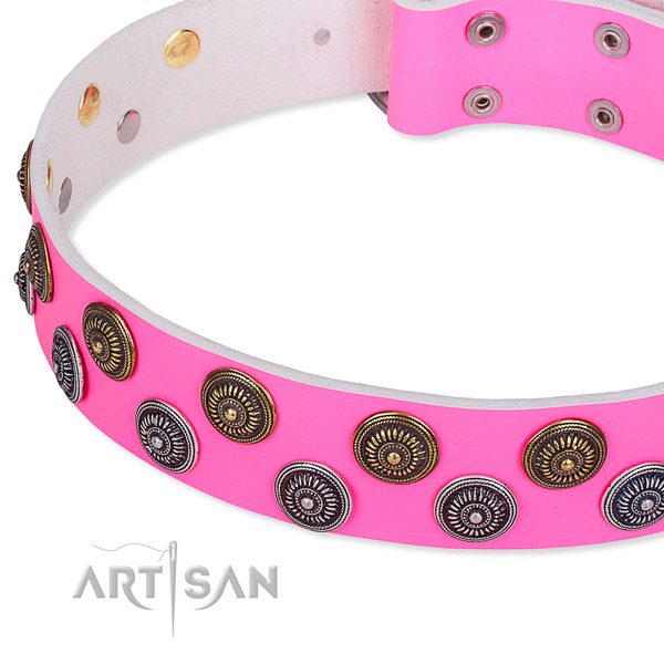 Basic training adorned dog collar of top quality leather