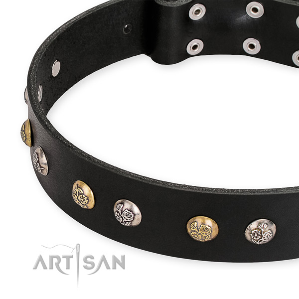 Full grain leather dog collar with exceptional reliable decorations