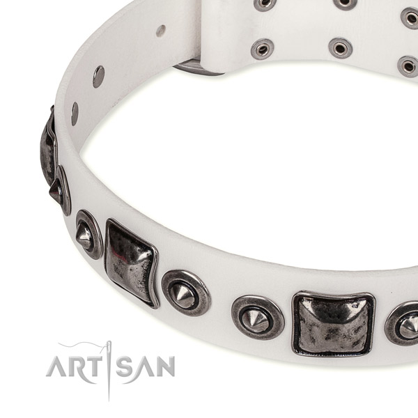 Soft to touch leather dog collar created for your lovely pet