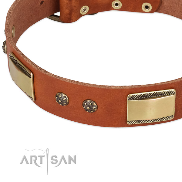 Reliable fittings on genuine leather dog collar for your canine