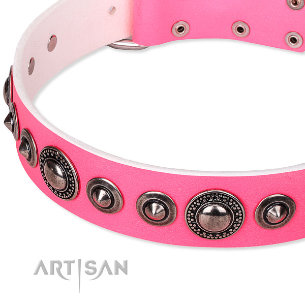 Walking adorned dog collar of top notch full grain leather