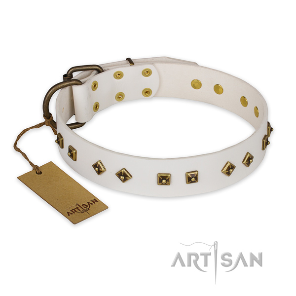 Comfortable genuine leather dog collar with reliable D-ring