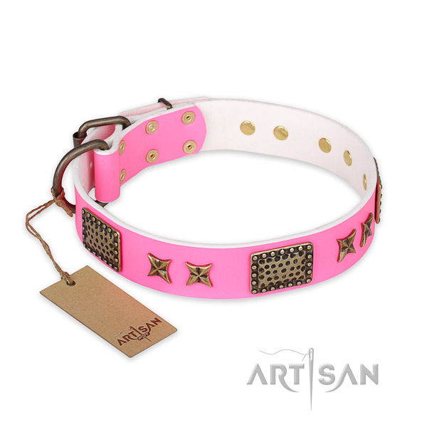 Incredible full grain natural leather dog collar with reliable hardware