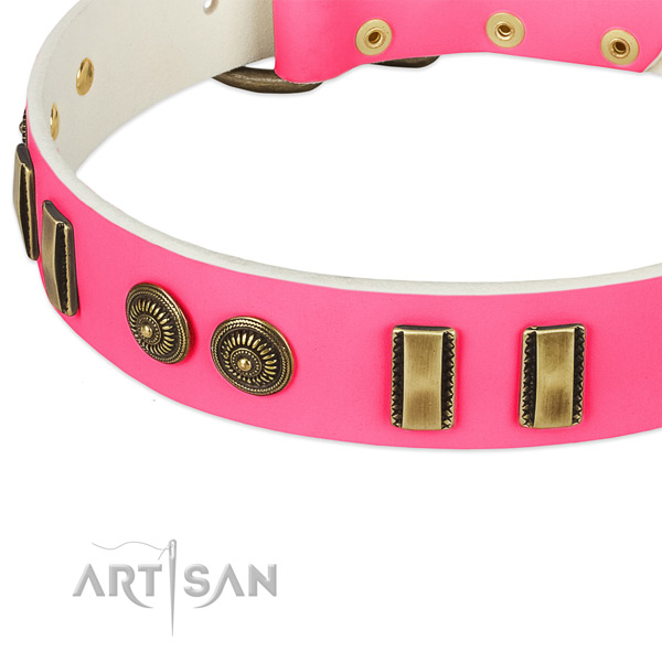 Rust resistant traditional buckle on natural leather dog collar for your four-legged friend