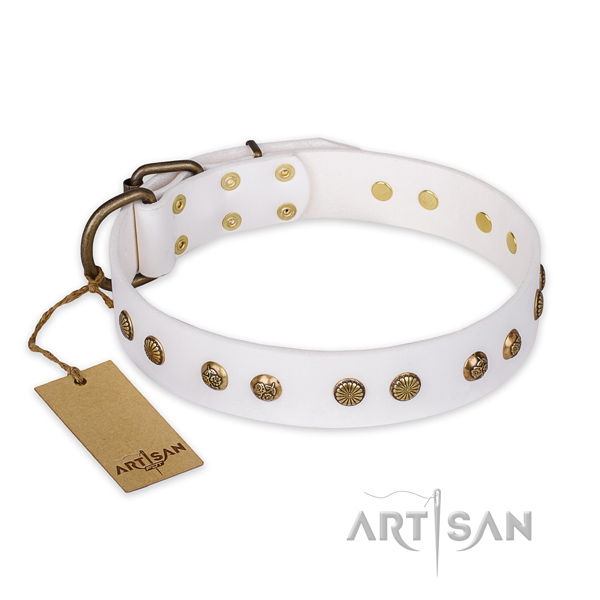 Comfortable full grain genuine leather dog collar with rust-proof fittings