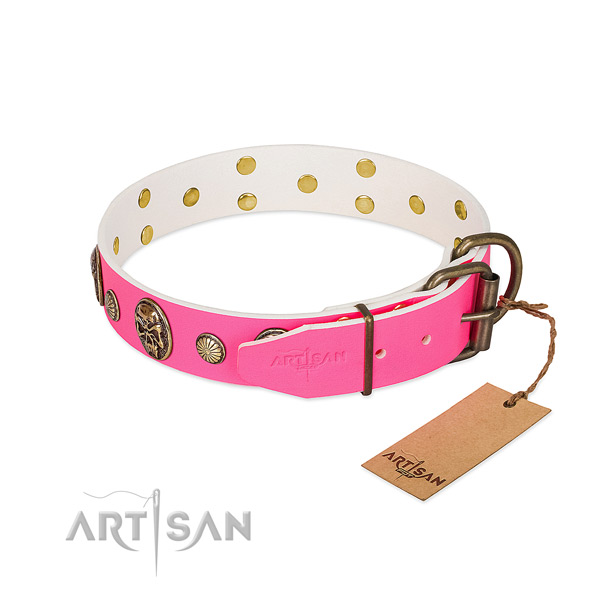 Rust resistant studs on full grain leather dog collar for your canine