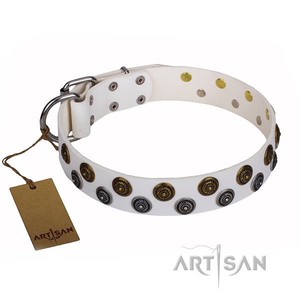 Everyday use dog collar of high quality genuine leather with embellishments