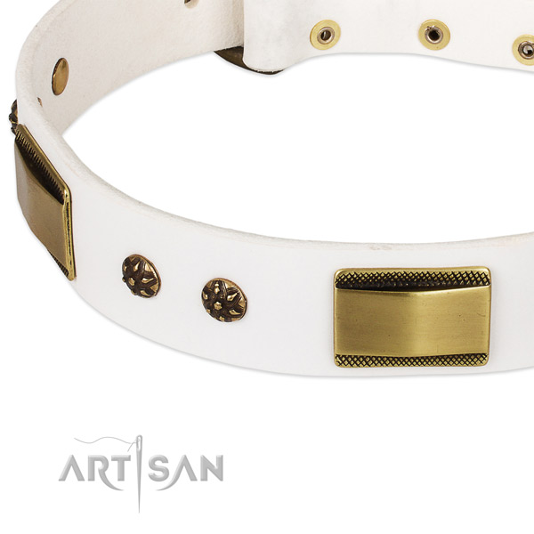 Rust-proof decorations on genuine leather dog collar for your dog