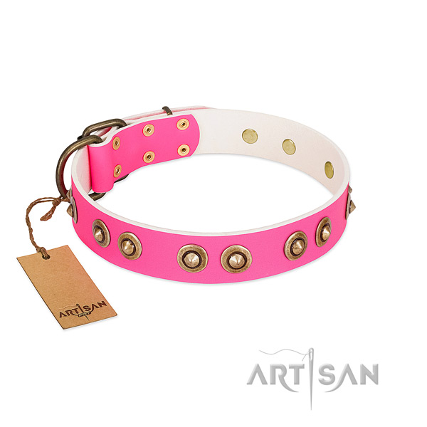 Studded full grain genuine leather dog collar for daily walking