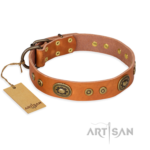 Full grain natural leather dog collar made of high quality material with durable traditional buckle