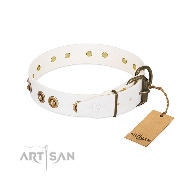 Rust-proof adornments on genuine leather dog collar for your doggie