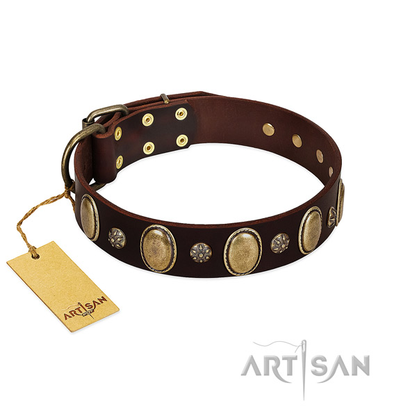 Daily use soft to touch full grain natural leather dog collar with embellishments